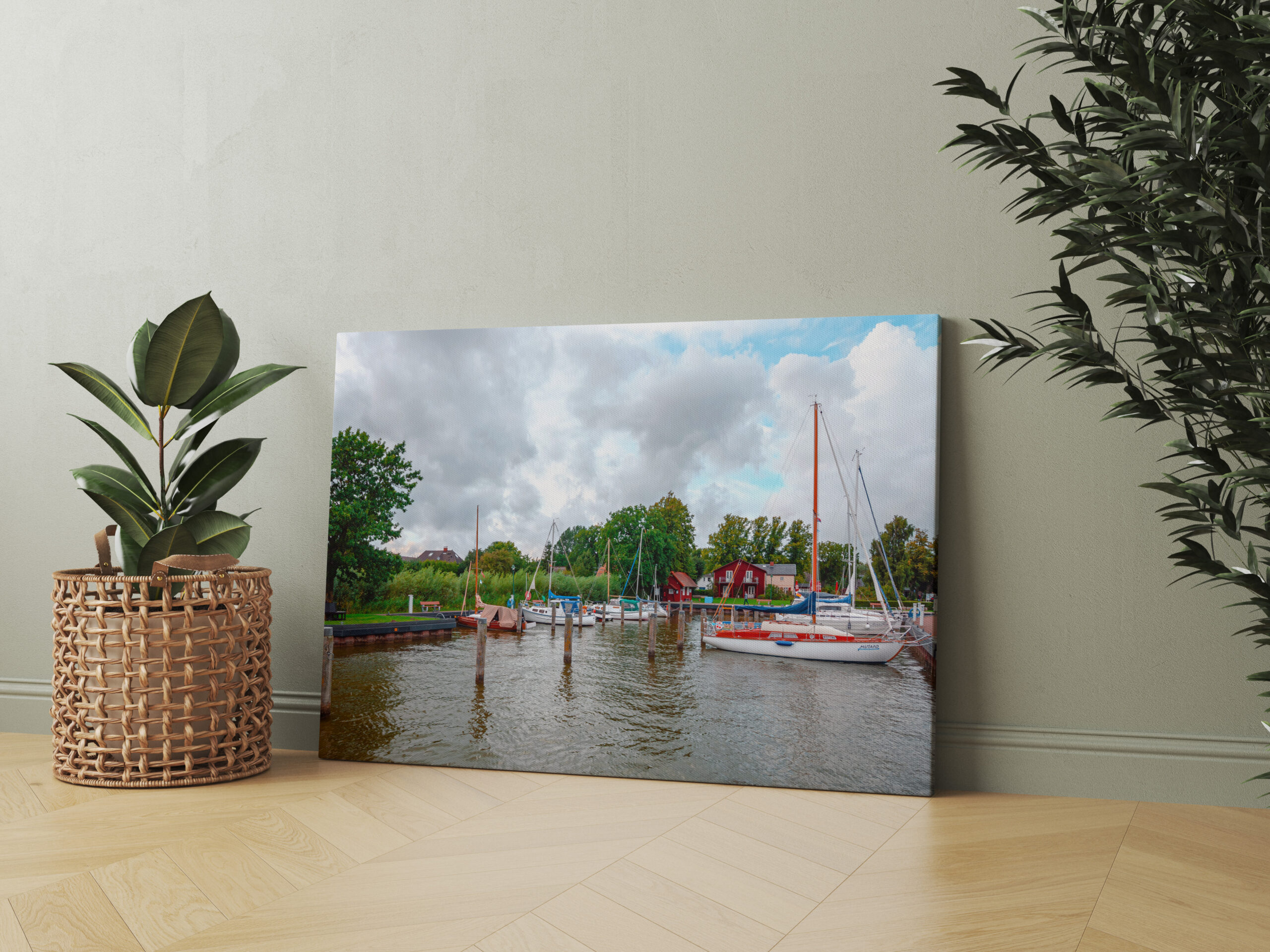 raxxa Canva: Hafen Born – Image 2