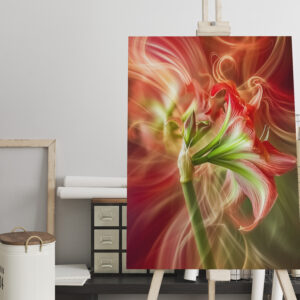 raxxa Canva: Erblühe wo dein Licht fällt