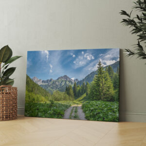 raxxa Canva: Nesselwängle