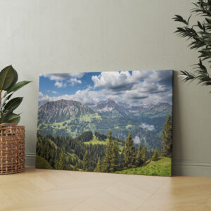 raxxa Canva: Tannheimer Berge