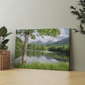 raxxa Canva: Vils Stausee