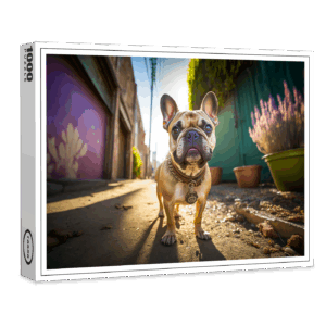 raxxa Premium-Puzzle: Abends Gassi gehen