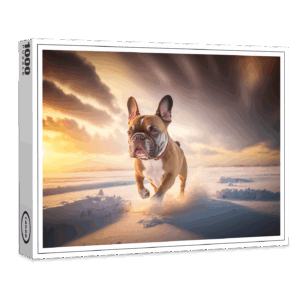 raxxa Premium-Puzzle: Ist ganz schön kalt