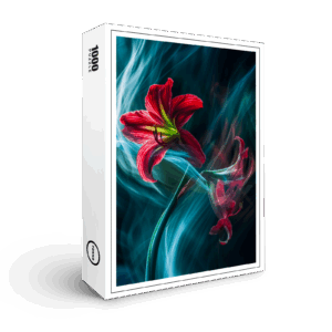 raxxa Premium-Puzzle: Blüten tanzen im Wind der Magie