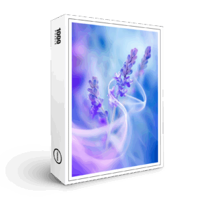 raxxa Premium-Puzzle: Blütenstaub trägt Träume in die Welt