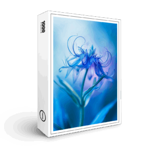 raxxa Premium-Puzzle: Ein Hauch von Leben, ein Funke Blume