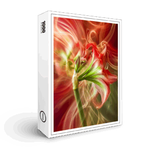 raxxa Premium-Puzzle: Erblühe wo dein Licht fällt