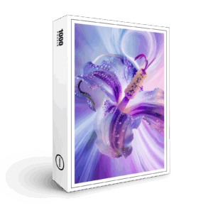 raxxa Premium-Puzzle: Im Herzen jeder Blume ruht ein Geheimnis