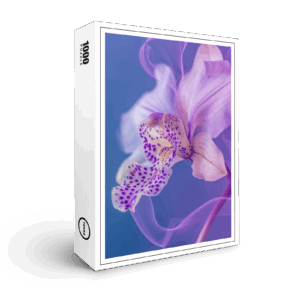 raxxa Premium-Puzzle: Von jedem Blatt tropft Sternenlicht