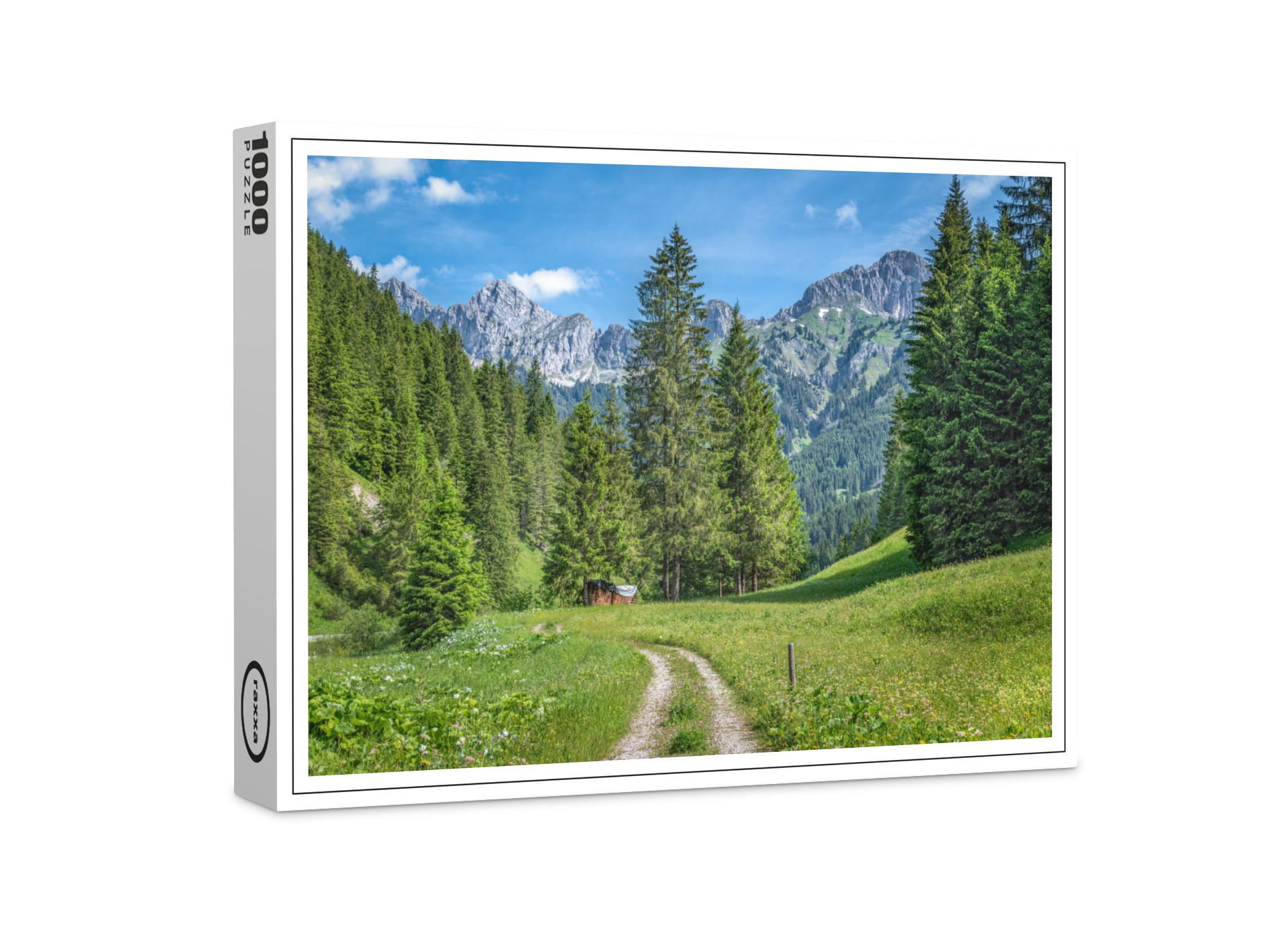 raxxa Premium-Puzzle: Nesselwängle2