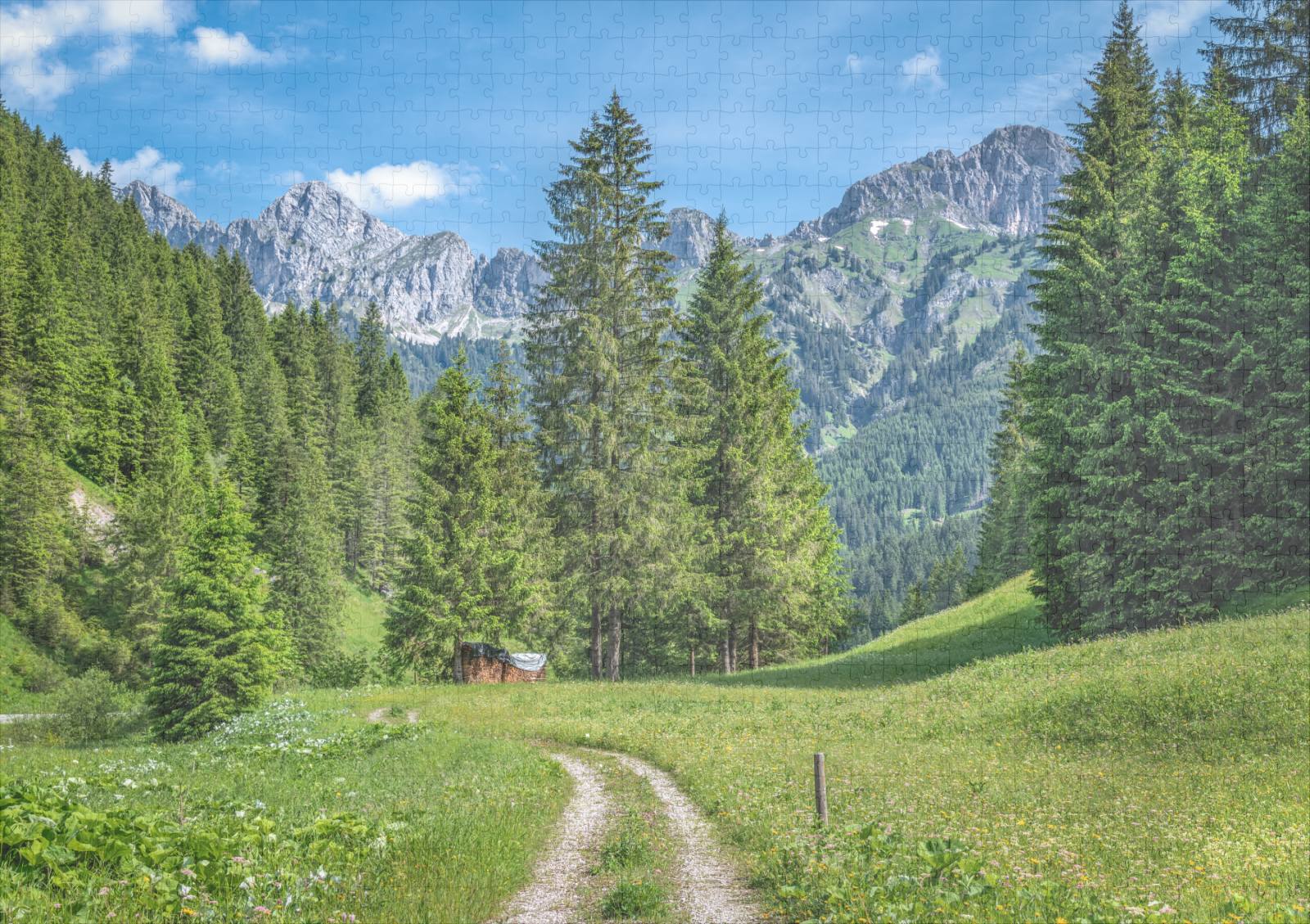 raxxa Premium-Puzzle: Nesselwängle2 – Image 2