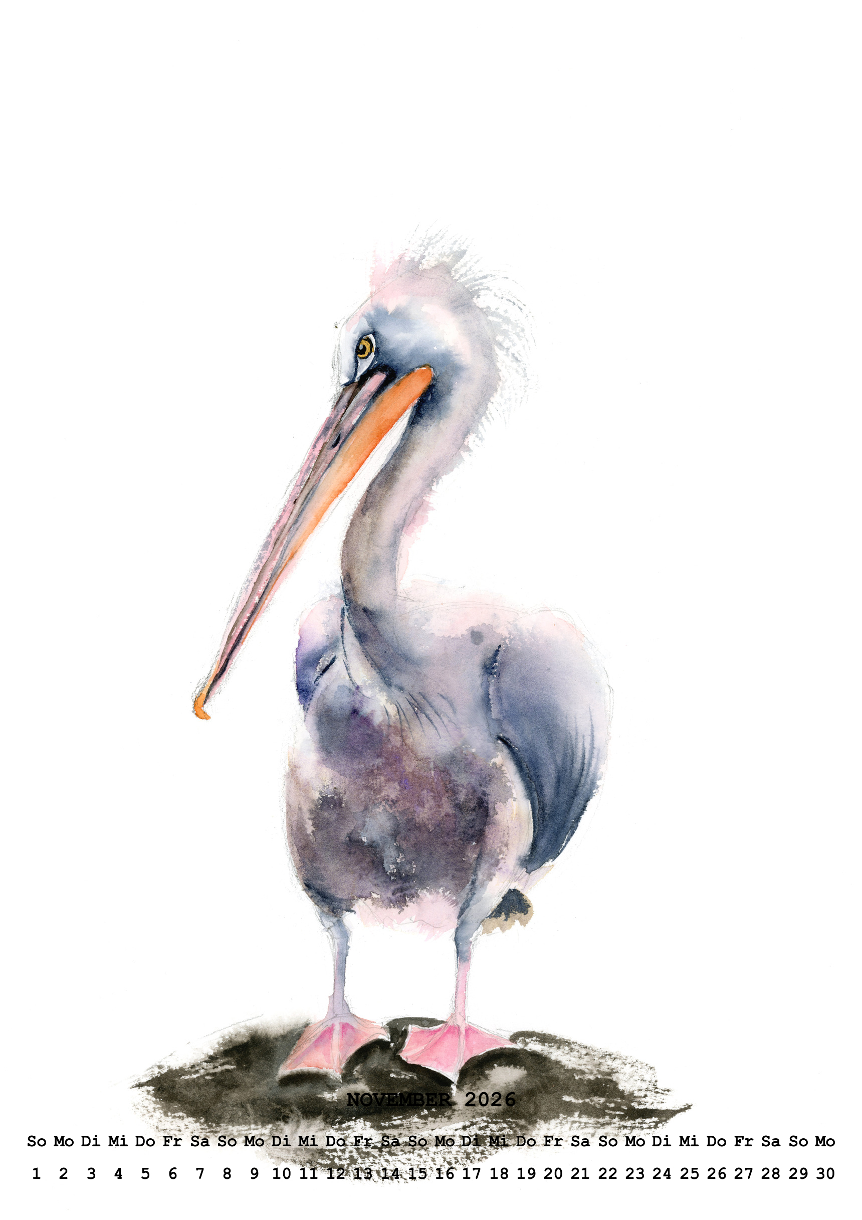 raxxa Premium-Monatskalender Animals 2026 – Bild 13