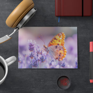 raxxa Postkarte: Schmetterling im Licht des Lavendels