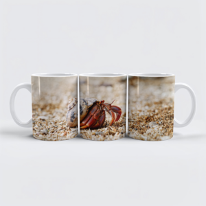 raxxa Premium-Tasse: Einsiedlerkrebs