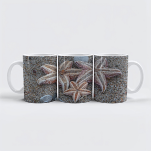 raxxa Premium-Tasse: Seesterne