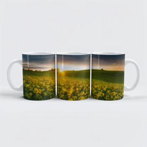 raxxa Premium-Tasse: Rapsfeld im Sonnenuntergang