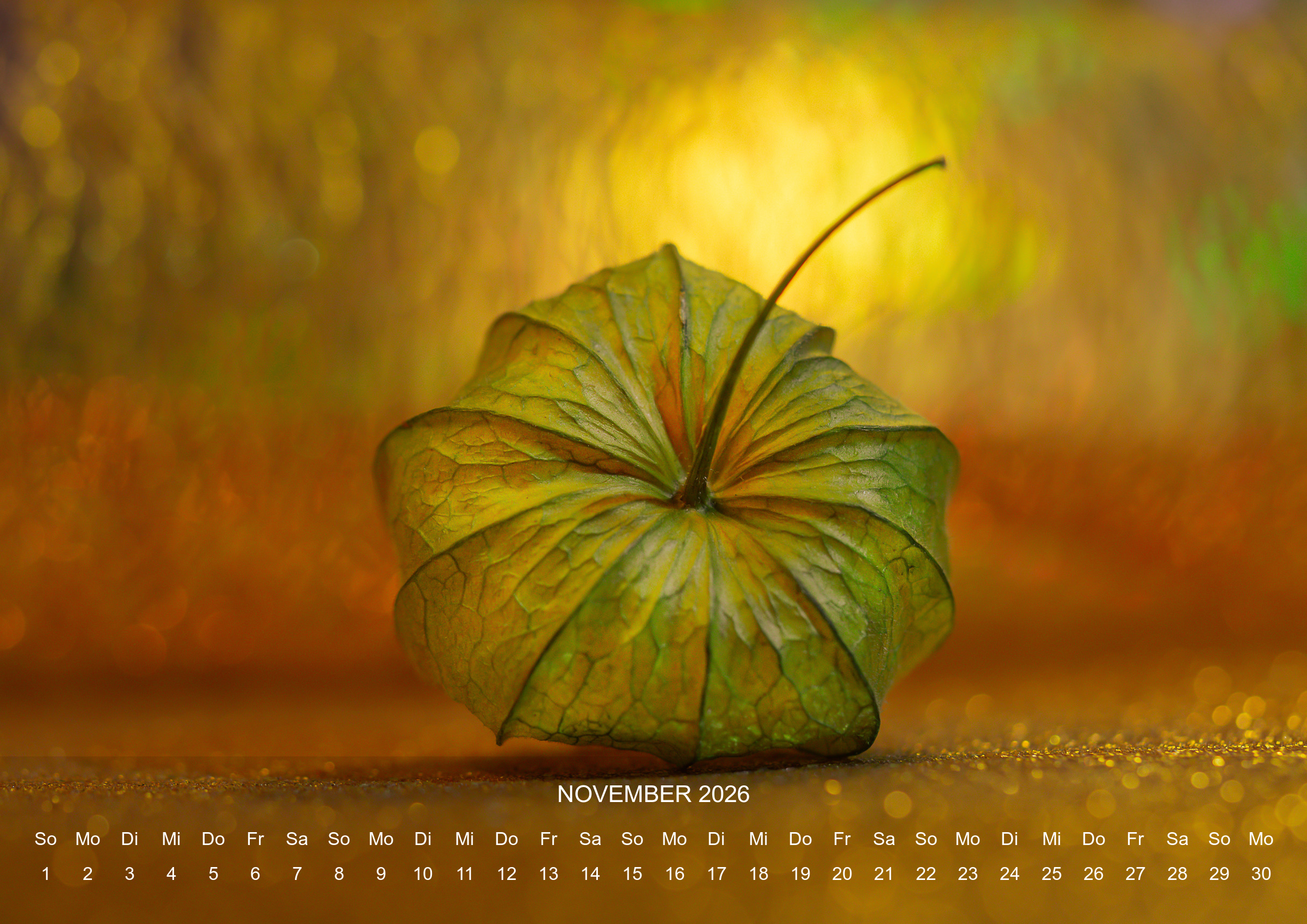 raxxa Premium-Monatskalender Stilles Leben 2026 - Imagen 13