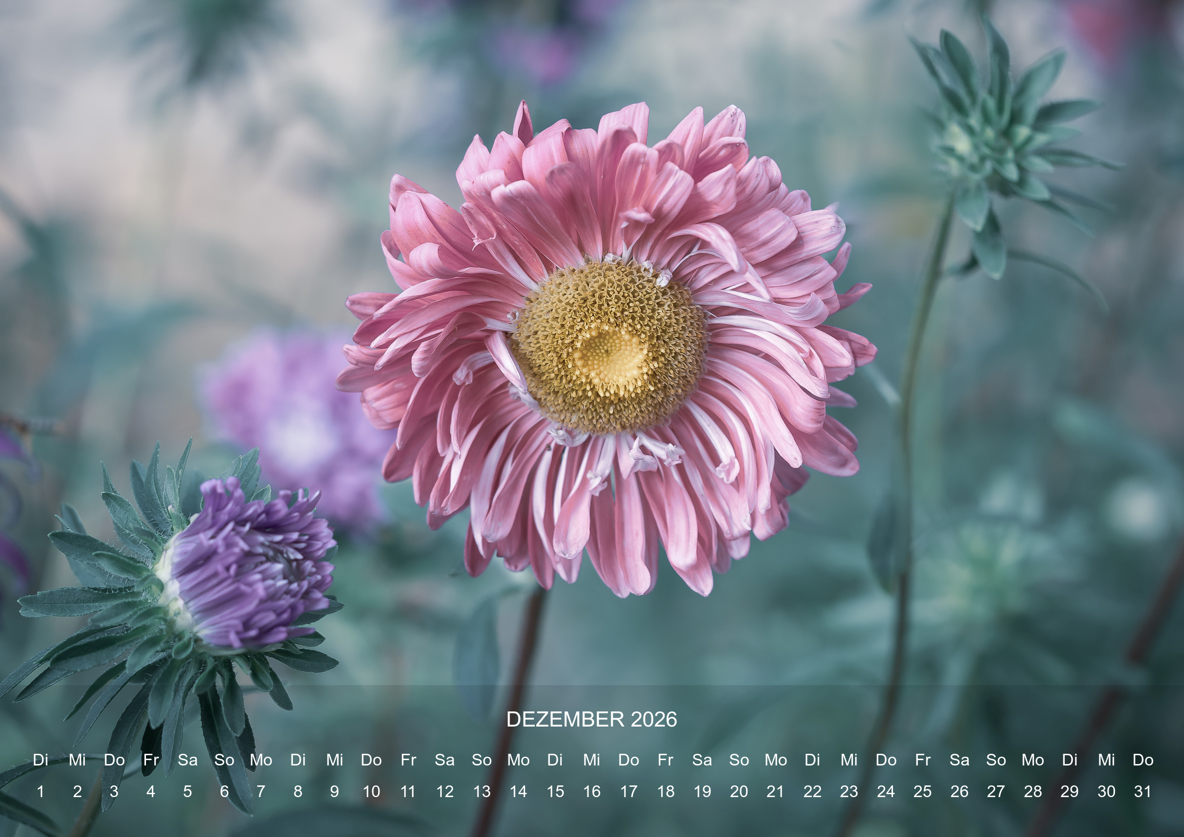 raxxa Premium-Monatskalender Stilles Leben 2026 - Imagen 14