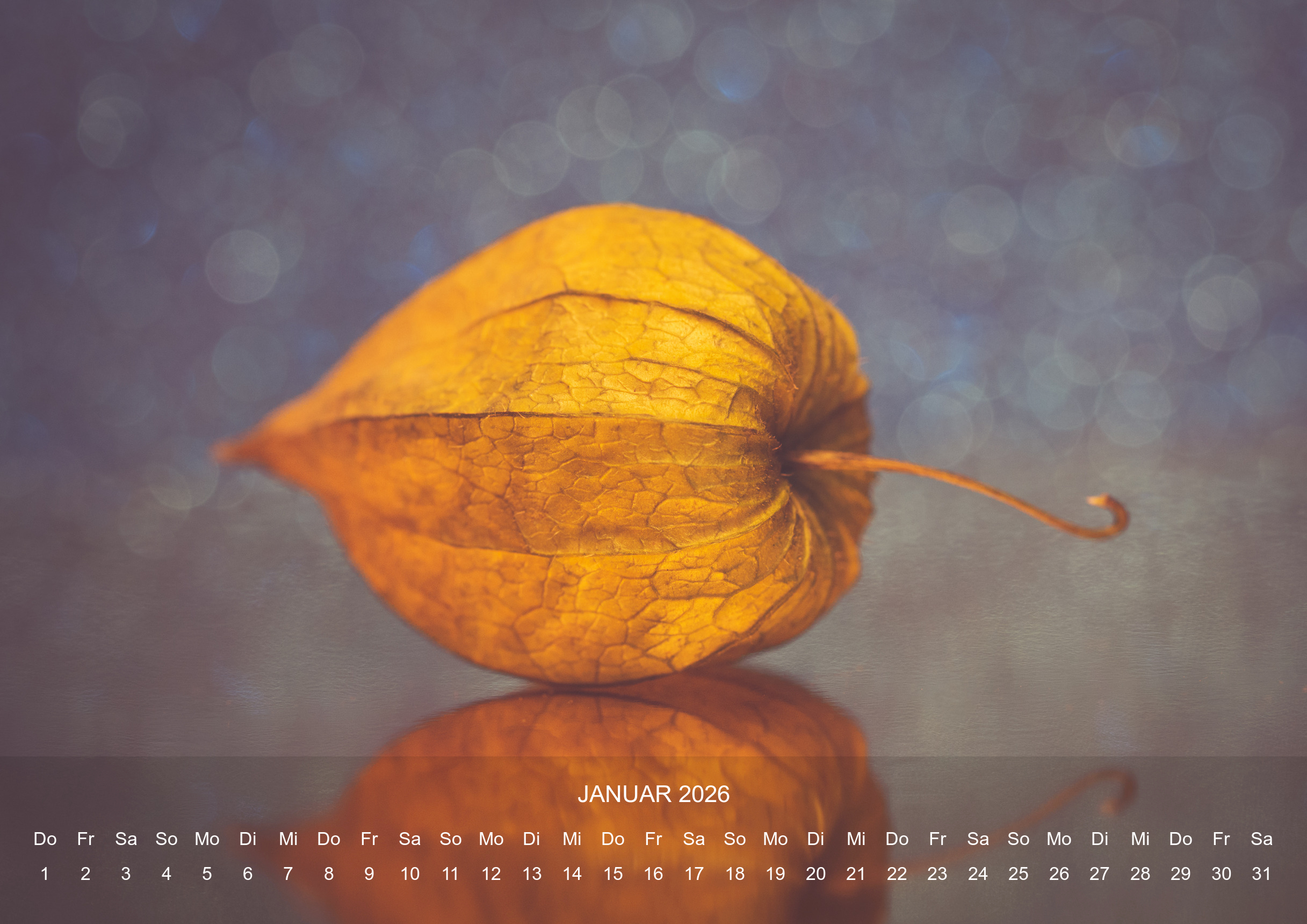 raxxa Premium-Monatskalender Stilles Leben 2026 - Imagen 3