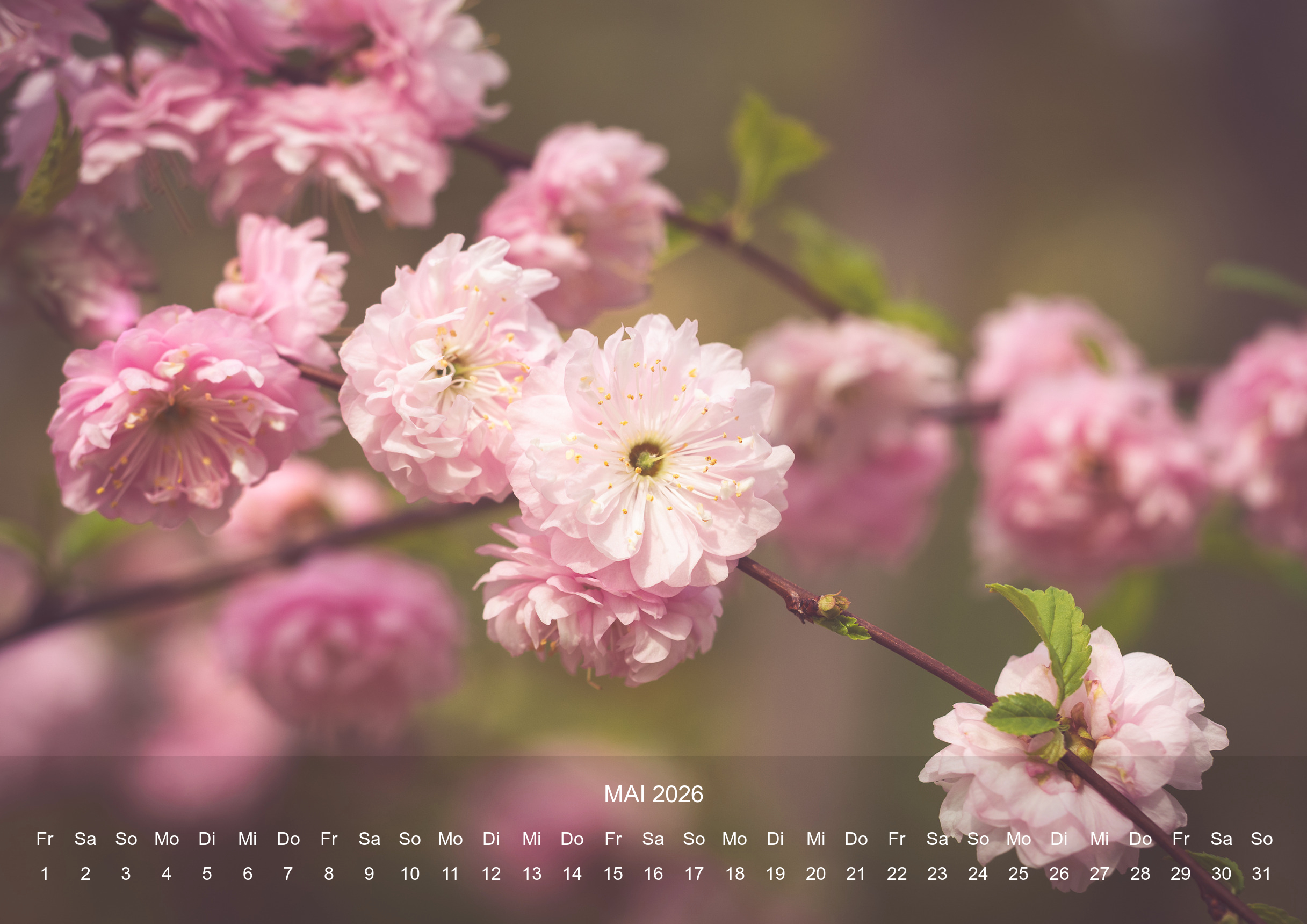 raxxa Premium-Monatskalender Stilles Leben 2026 - Imagen 7