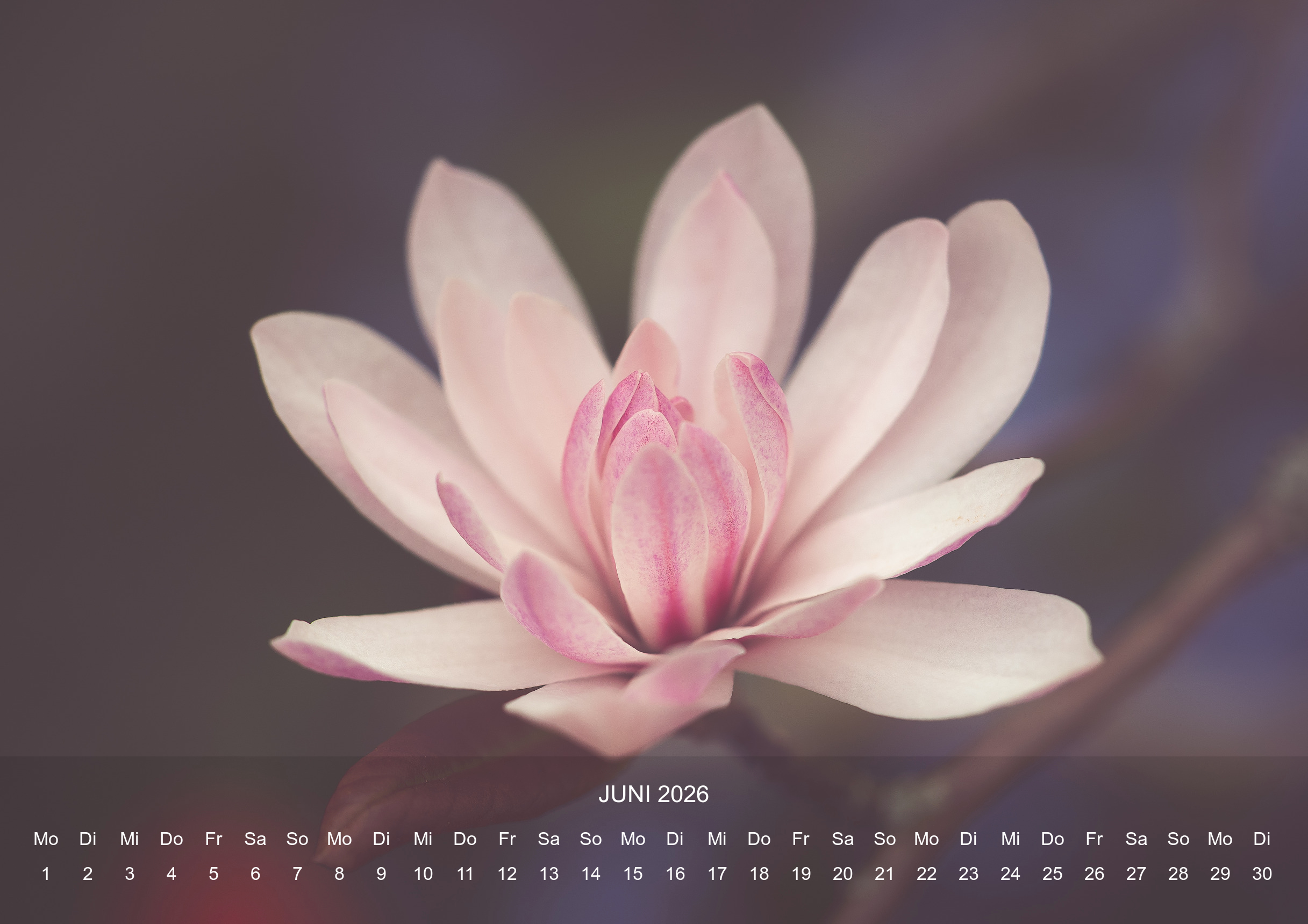 raxxa Premium-Monatskalender Stilles Leben 2026 - Imagen 8