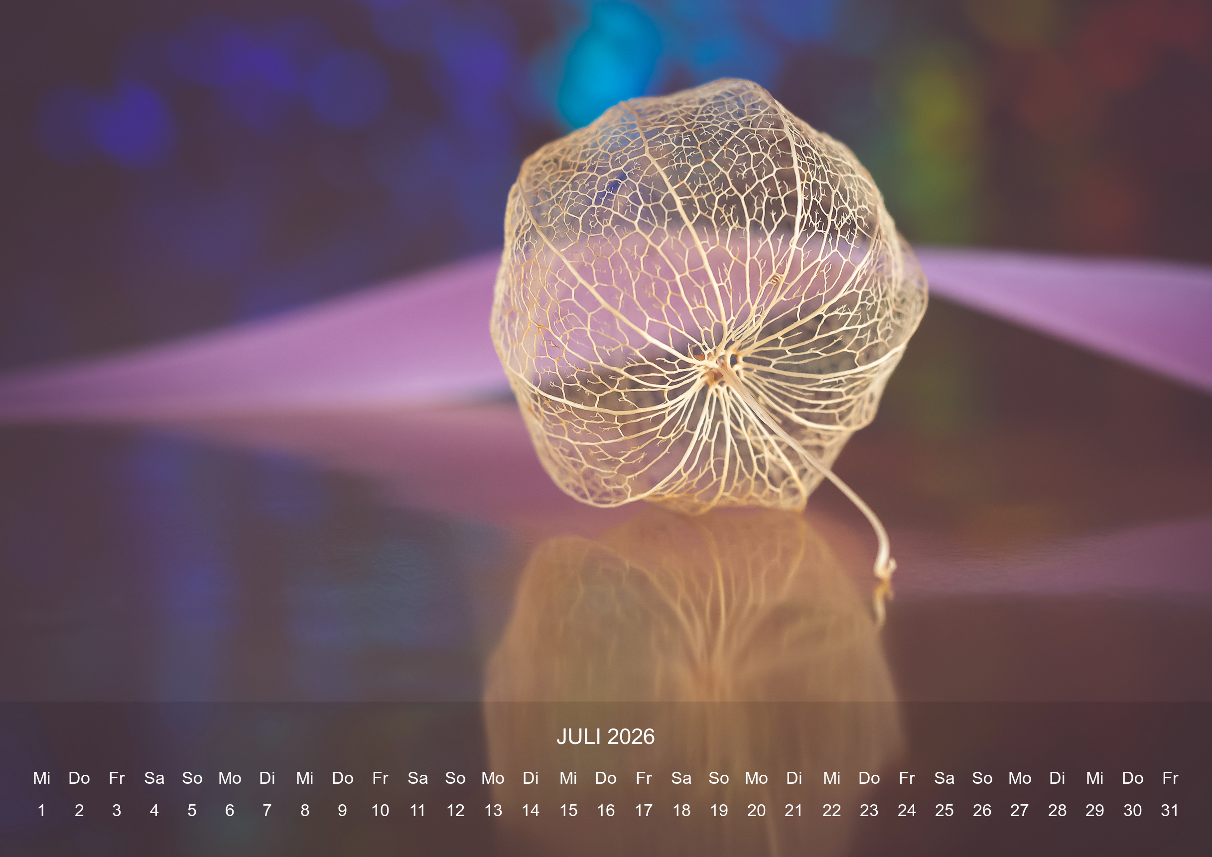 raxxa Premium-Monatskalender Stilles Leben 2026 - Imagen 9