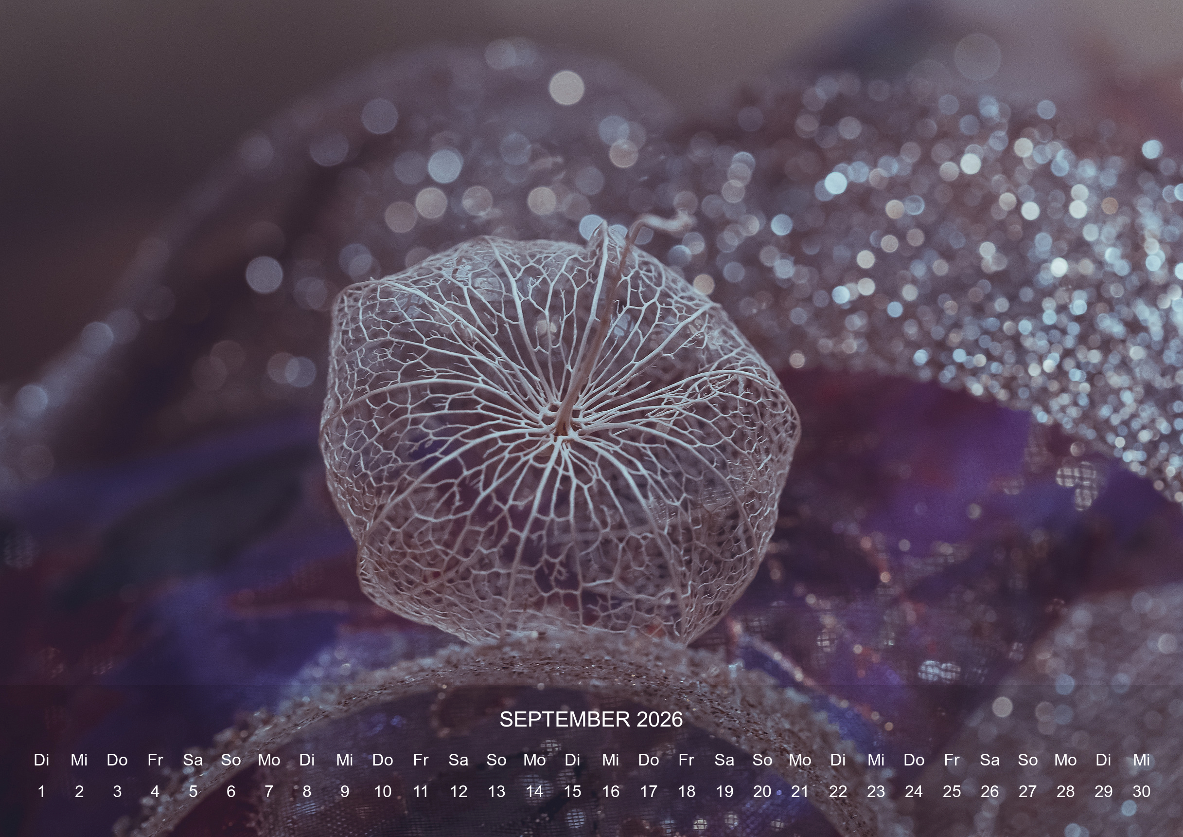 raxxa Premium-Monatskalender Stilles Leben 2026 - Imagen 11