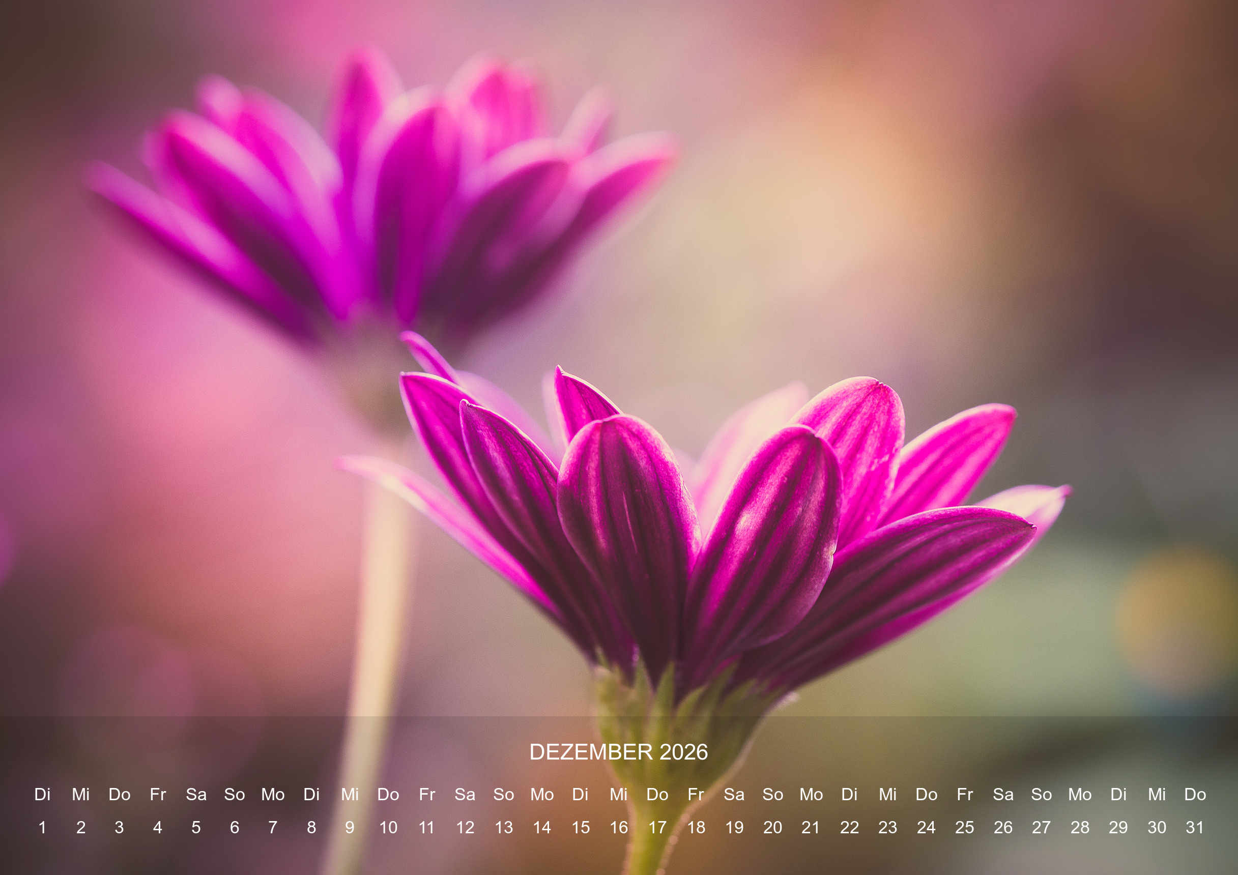 raxxa Premium-Monatskalender Silent Life 2026 – Bild 14