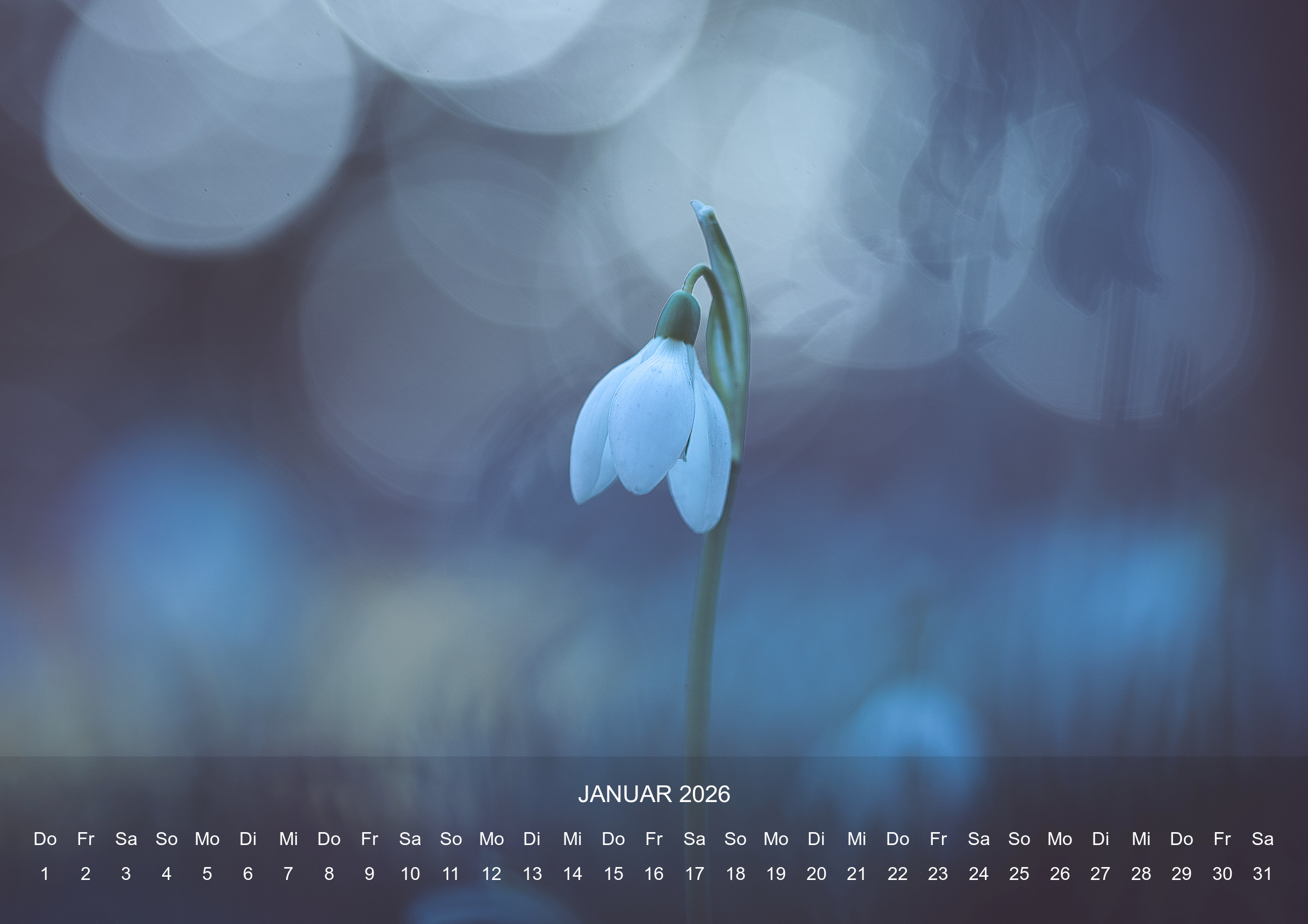 raxxa Premium-Monatskalender Silent Life 2026 – Bild 3