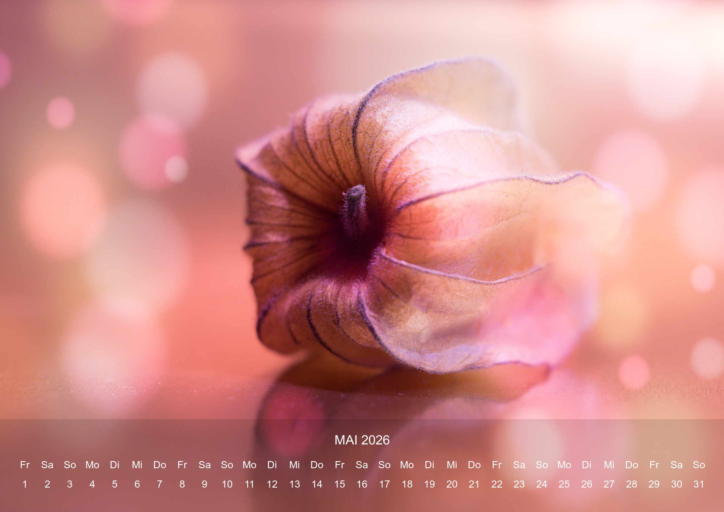 raxxa Premium-Monatskalender Silent Life 2026 – Bild 7