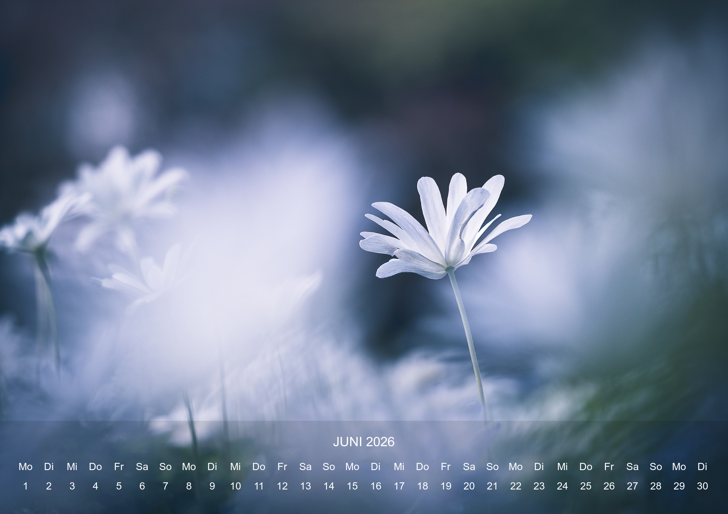 raxxa Premium-Monatskalender Silent Life 2026 – Bild 8