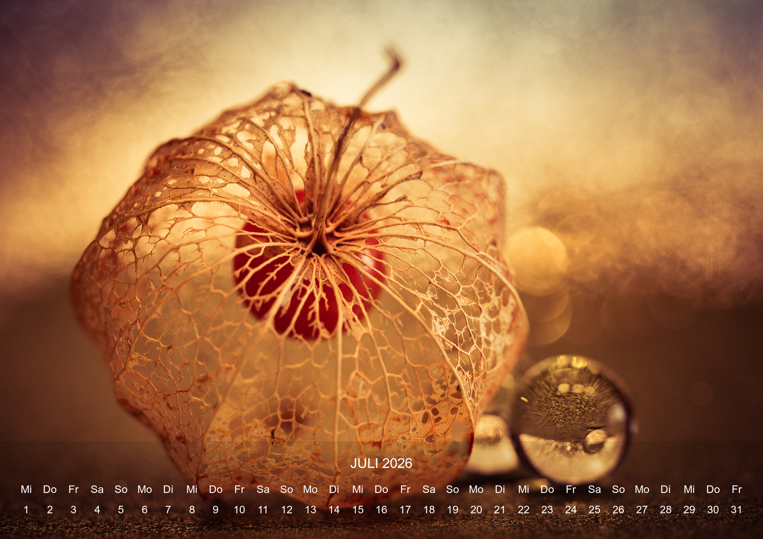 raxxa Premium-Monatskalender Silent Life 2026 – Bild 9