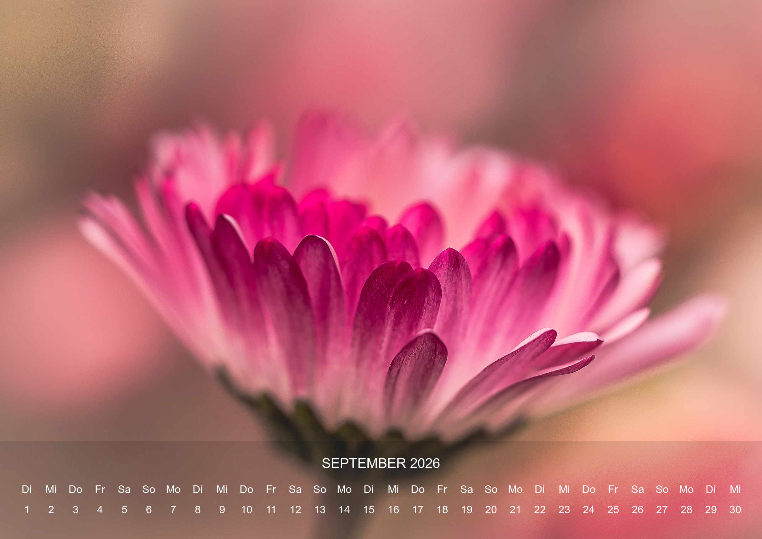 raxxa Premium-Monatskalender Silent Life 2026 – Bild 11