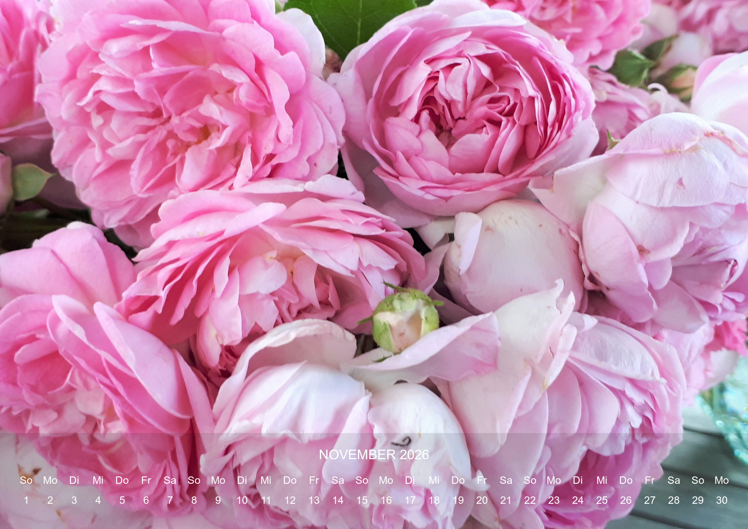 raxxa Premium-Monatskalender Rosencharme 2026 – Image 13