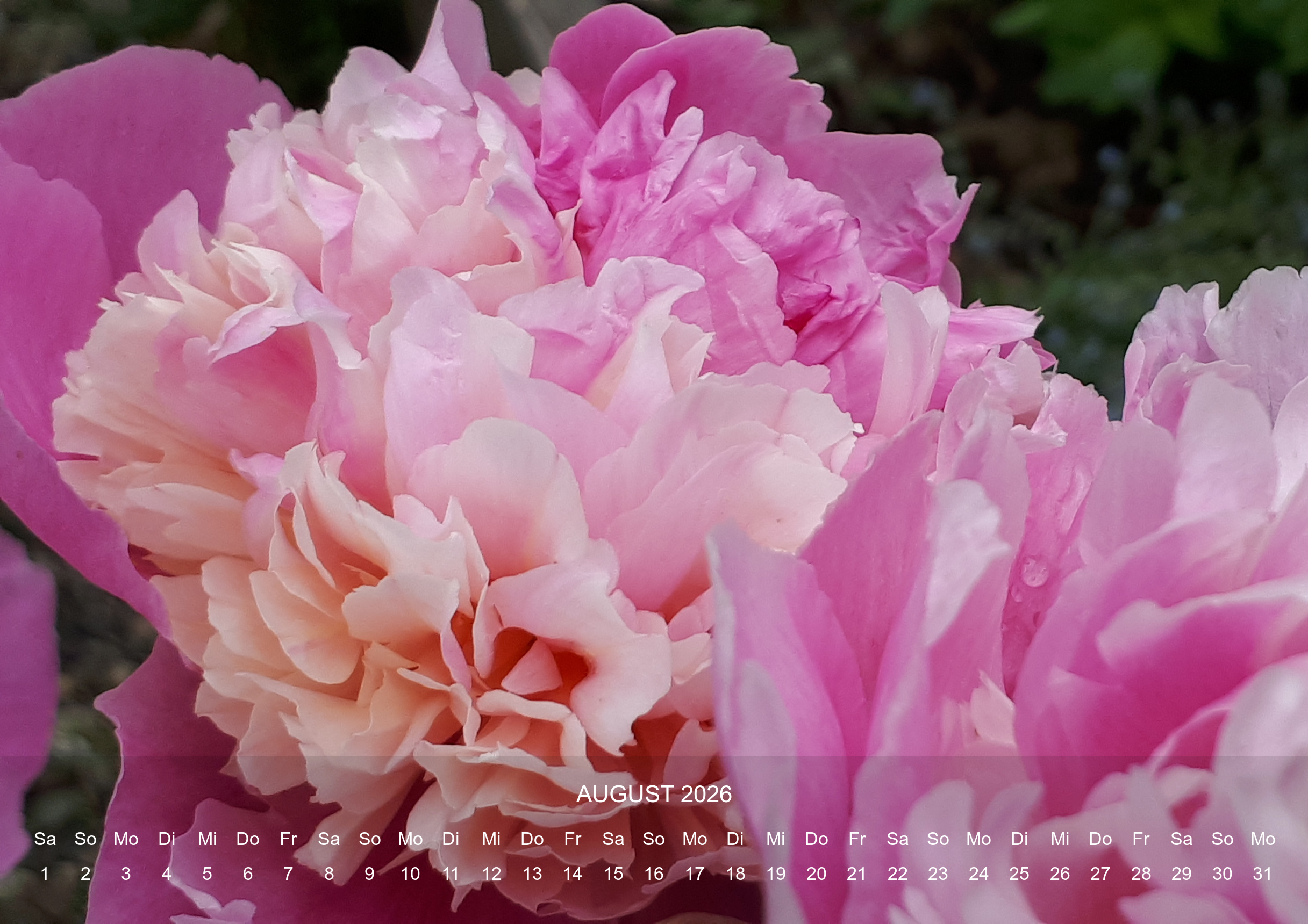 raxxa Premium-Monatskalender Rosencharme 2026 – Image 10