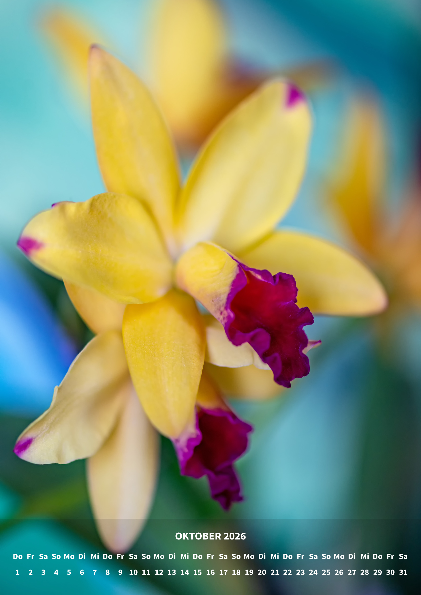 raxxa Premium-Monatskalender Orchideen 2026 - Imagen 12