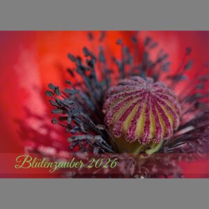raxxa Premium-Monatskalender Blütenzauber 2026