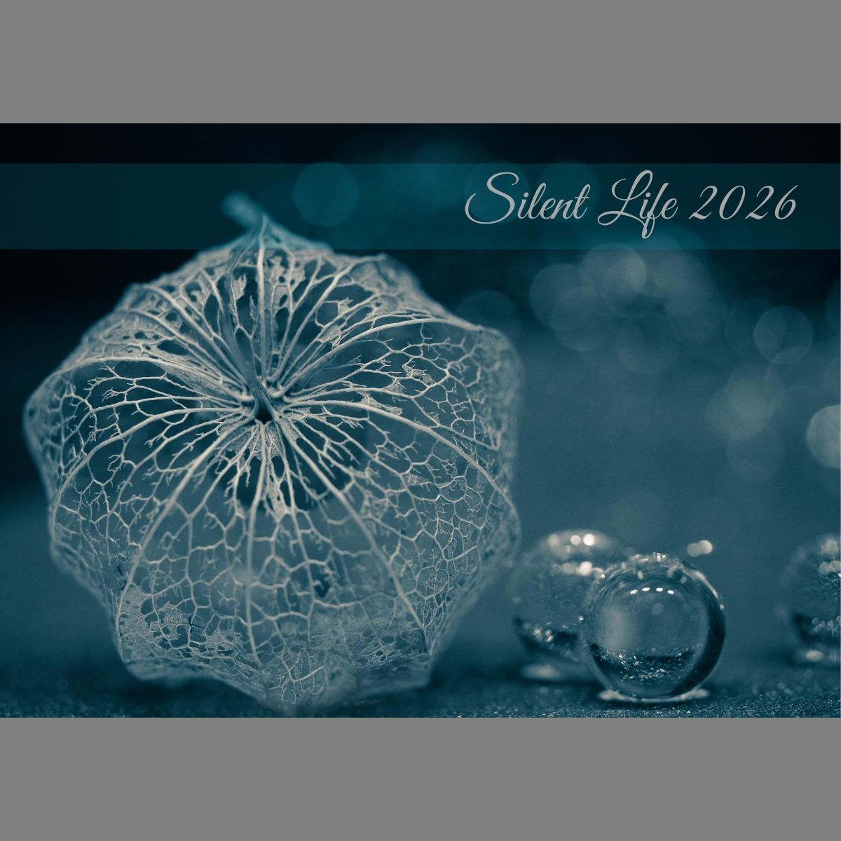 raxxa Premium-Monatskalender Silent Life 2026