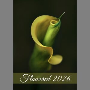 raxxa Premium-Monatskalender Flowered 2026