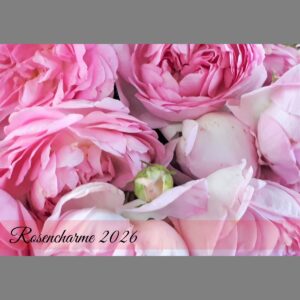 raxxa Premium-Monatskalender Rosencharme 2026