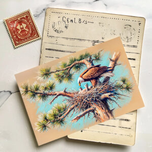 raxxa Postkarte: Eagle Feeding Young in Nest on Pine Tree Pastel Chalk Drawing