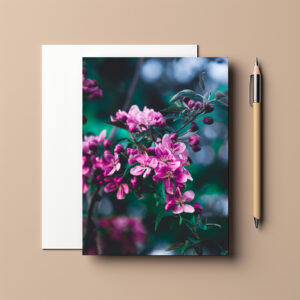 raxxa Postkarte: Flowers