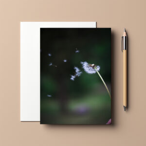 raxxa Postkarte: Dandelion