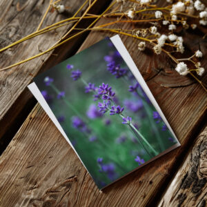 raxxa Postkarte: Lavendel