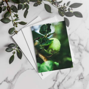 raxxa Postkarte: Apple