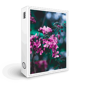 raxxa Premium-Puzzle: Flowers