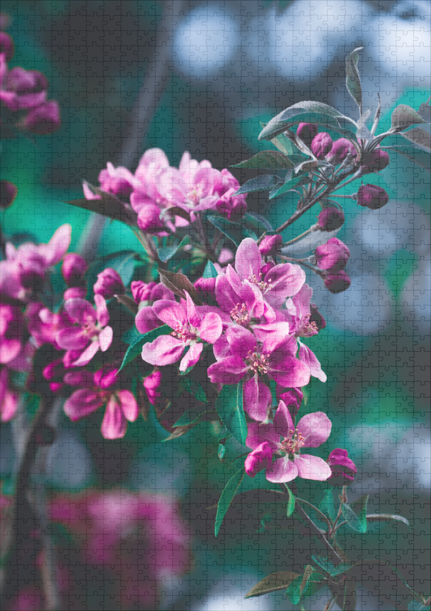 raxxa Premium-Puzzle: Flowers - immagine 2