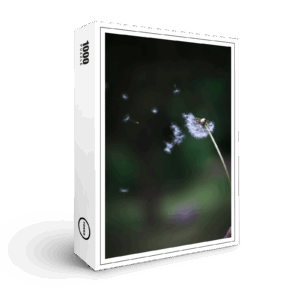 raxxa Premium-Puzzle: Dandelion