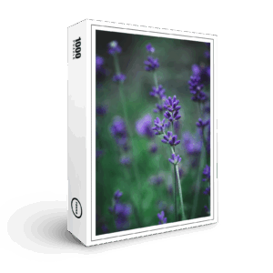 raxxa Premium-Puzzle: Lavendel