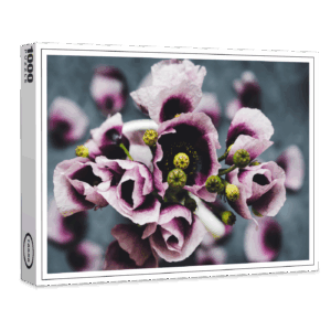 raxxa Premium-Puzzle: Poppy flowers